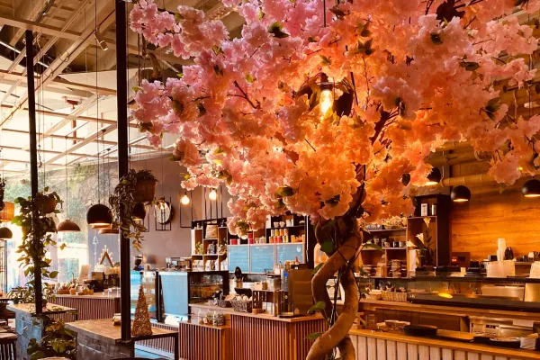 A&M Sushi & Bowls Falkenberg City halal restaurant in Falkenberg