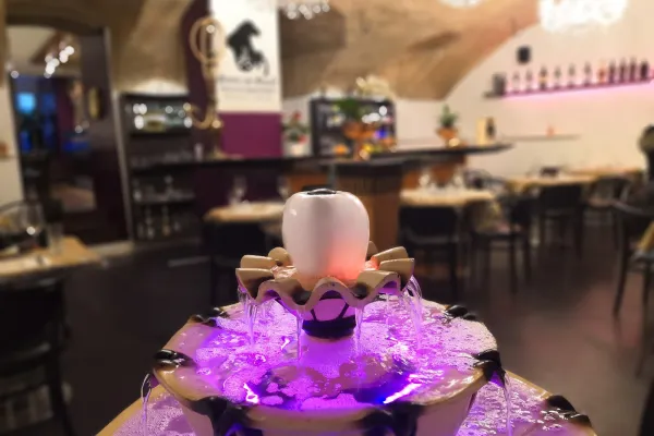 Banoo Im Rössli halal restaurant in Rapperswil-Jona