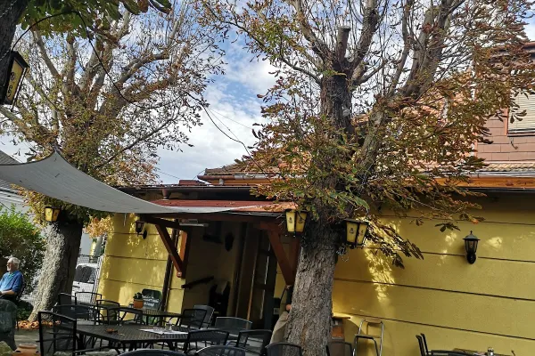 Blaue Blunz´n OG halal restaurant in Mödling